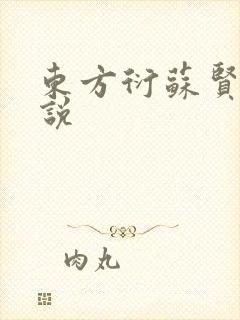 东方衍苏贤儿小说