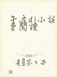 午夜dj小说免费阅读