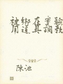 被绑在实验台上用道具调教