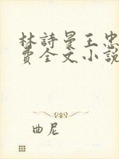 林诗曼王忠文免费全文小说的名称