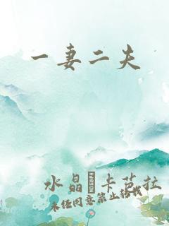 一妻二夫