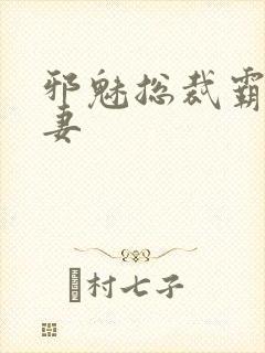 邪魅总裁霸占新妻