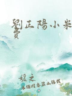 刘正阳小米多免费