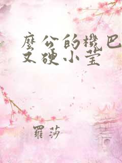 么公的机巴又粗又硬小莹