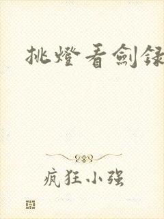 挑灯看剑录