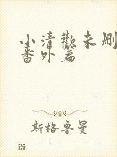 小清欢未删减版番外篇