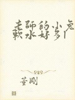 老师的小兔子好软水好多l