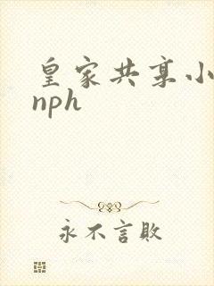 皇家共享小公主nph