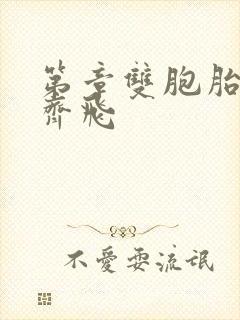 第章双胞胎姐妹齐飞