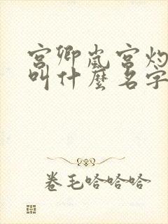 宫卿岚宫灼小说叫什么名字