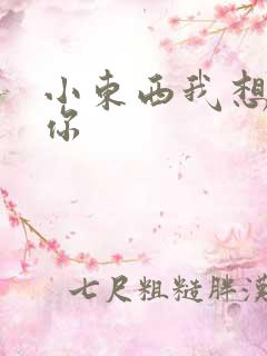 小东西我想弄坏你