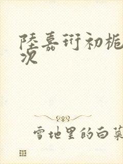 陆嘉珩初栀第一次