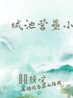 城池营垒小说