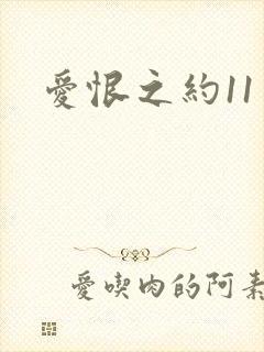 爱恨之约11