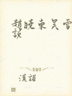 赵晓东吴雪晴小说