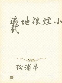 遍地狼烟小说下载