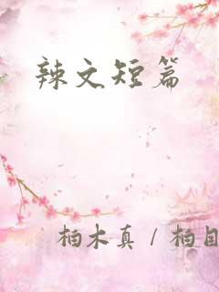 辣文短篇
