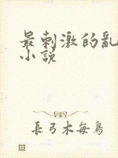 最刺激的乱子伦小说