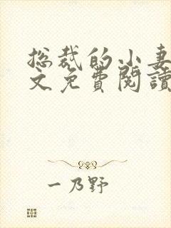 总裁的小妻子全文免费阅读