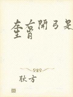 左右开弓是什么生肖