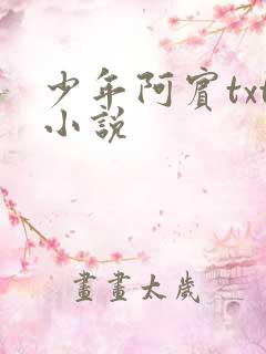 少年阿宾txt小说
