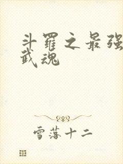 斗罗之最强治疗武魂