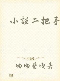 小说二把手