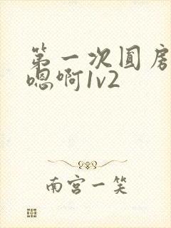 第一次圆房～h嗯啊1v2