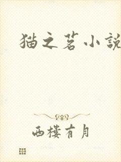 猫之茗小说