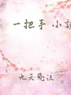 一把手 小说