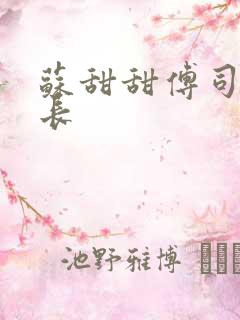苏甜甜傅司衍机长