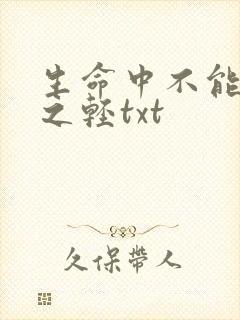 生命中不能承受之轻txt