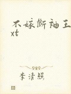 不嫁断袖王爷txt