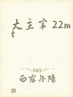 大主宰 22mt