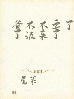 爸不不要了太满了流来了