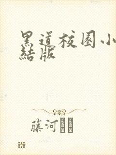 黑道校园小说完结版