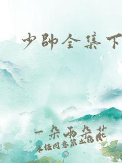 少帅全集下载