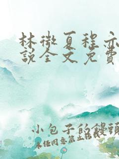 林微夏程亦风小说全文免费