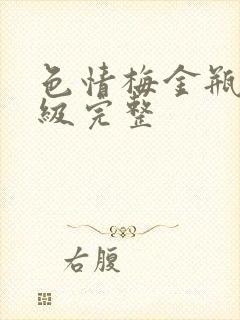 色情梅金瓶2三级完整