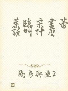 叶临宋书蕾的小说叫什么