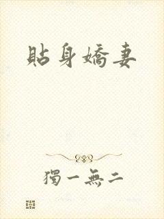 贴身娇妻