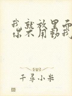 我就放里面不动你不用动我动