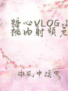 糖心VLOG小桃内射频免费