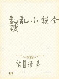 乱乱小说全文阅读