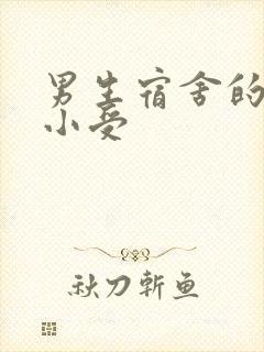 男生宿舍的公共小受