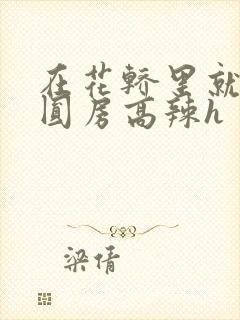 在花轿里就开始圆房高辣h