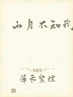 山月不知我心事