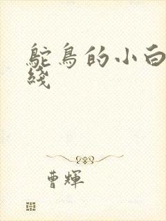 鸵鸟的小白脸路线