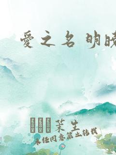 爱之名 明晓溪