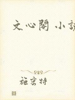 文心阁 小说